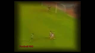d4TOovH0zBo Video Image
