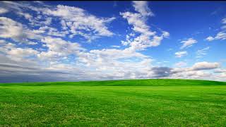 Green Gr With Blue Sky Royalty Free Background Video Garden With Blue Sky Bg Video Vfx