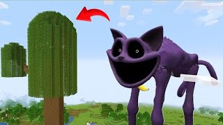 I Found Scariest Catnap In Minecraft Minecraft Catnap