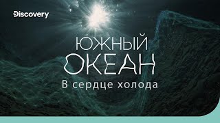 Южный Океан: В Сердце Холода | На Дне Океана | Discovery