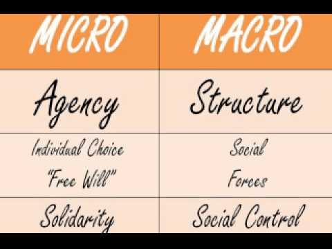 macro social theory