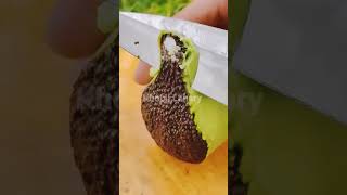 Fruit Cutting