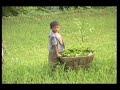 Nepali village life.