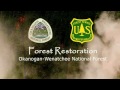Okanogan-Wenatchee National Forest Restoration Strategy