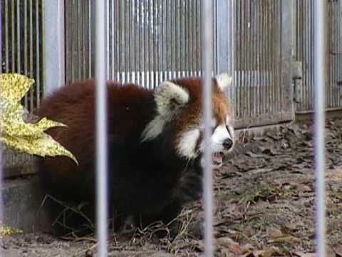 池田動物園