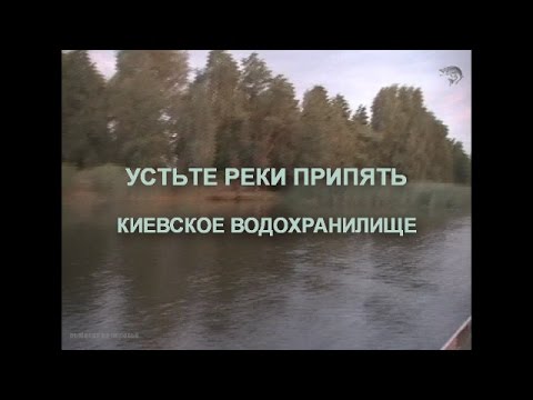 рыболовные базы на реке припять рыболовные базы на реке припять