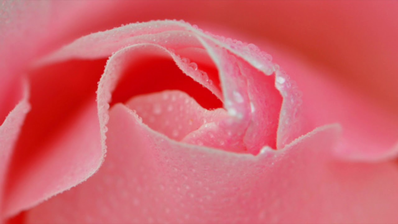 Шикарная дама в любительском видео дрочит розовую киску крупным планом
