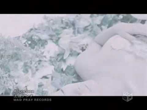 Blue Moon Video