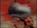 Jaws Unleashed: Girl nearly escapes shark attack