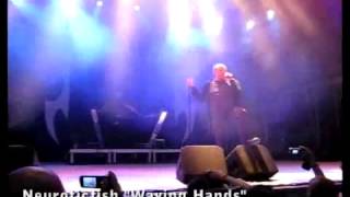 Watch Neuroticfish Waving Hands video