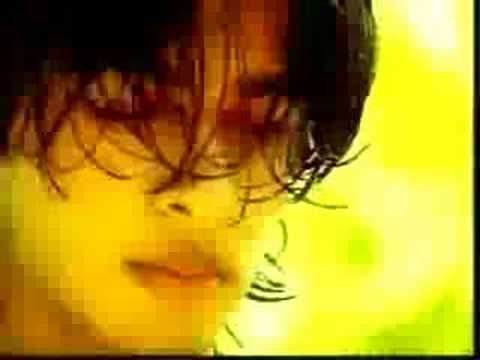 har gayee-shehzad roy