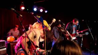 Watch Olivia Tremor Control Can You Come Down With Us video