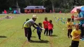 Funny videos