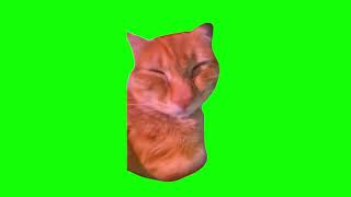 Green Screen Talking Cat Meme