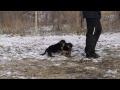 1 месяц. Мальчик с фиолетовой ленточкой.