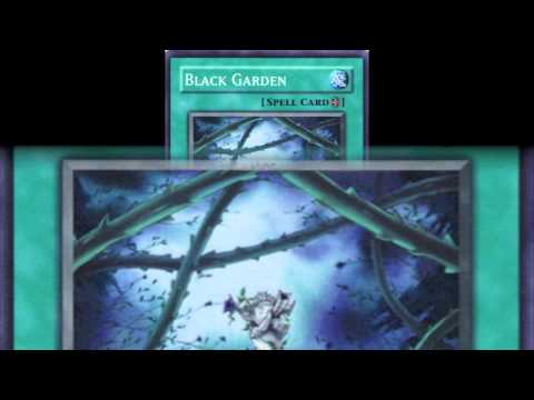 Deck Profile: Ninja Black Garden
