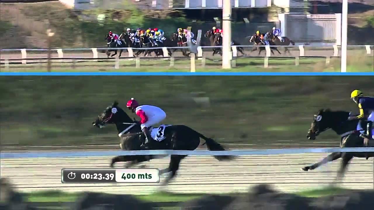 GRAN PREMIO REPUBLICA gran premio republica: