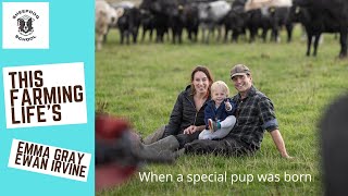 Sheepdog Puppies being born on This Farming Life - Emma Gray and Ewan Irvine