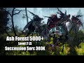 BDO Ash Forest 5000+/h Level 2 LS 303K Succession Sorc