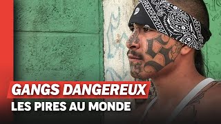 Salvador Au Cœur De La Guerre Des Gangs