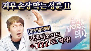 ✅먹는 레티놀, 의사👨⚕가 근거로 쉽고 빠르게 알려드립니다.
