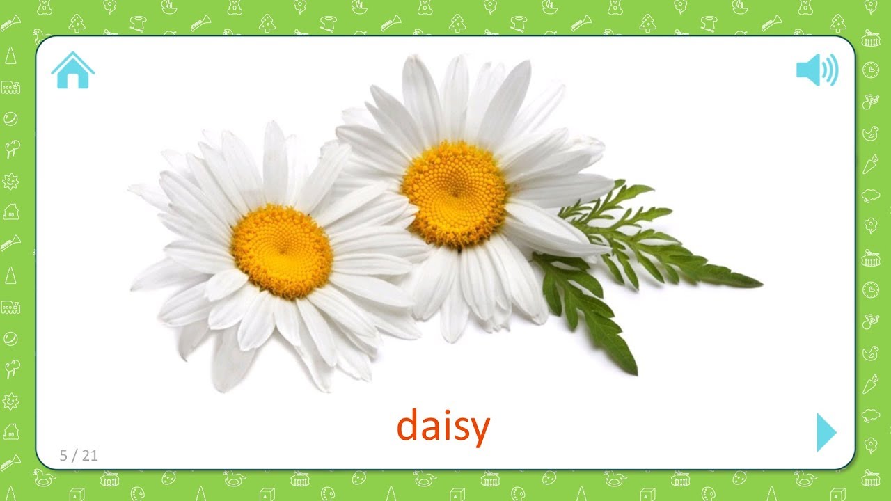 Порно видео с Daisy Дейзи