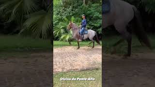 Egua Marcha Batida