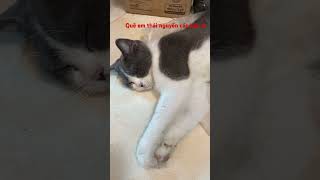 Bé Nèo Lấy Tấm Ly Lông Lằm Cho Mát