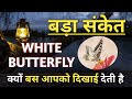 White Butterfly क्यों बस आपको दिखाई देती है ❤️ l Seeing Butterfly Meaning in Law of Attraction