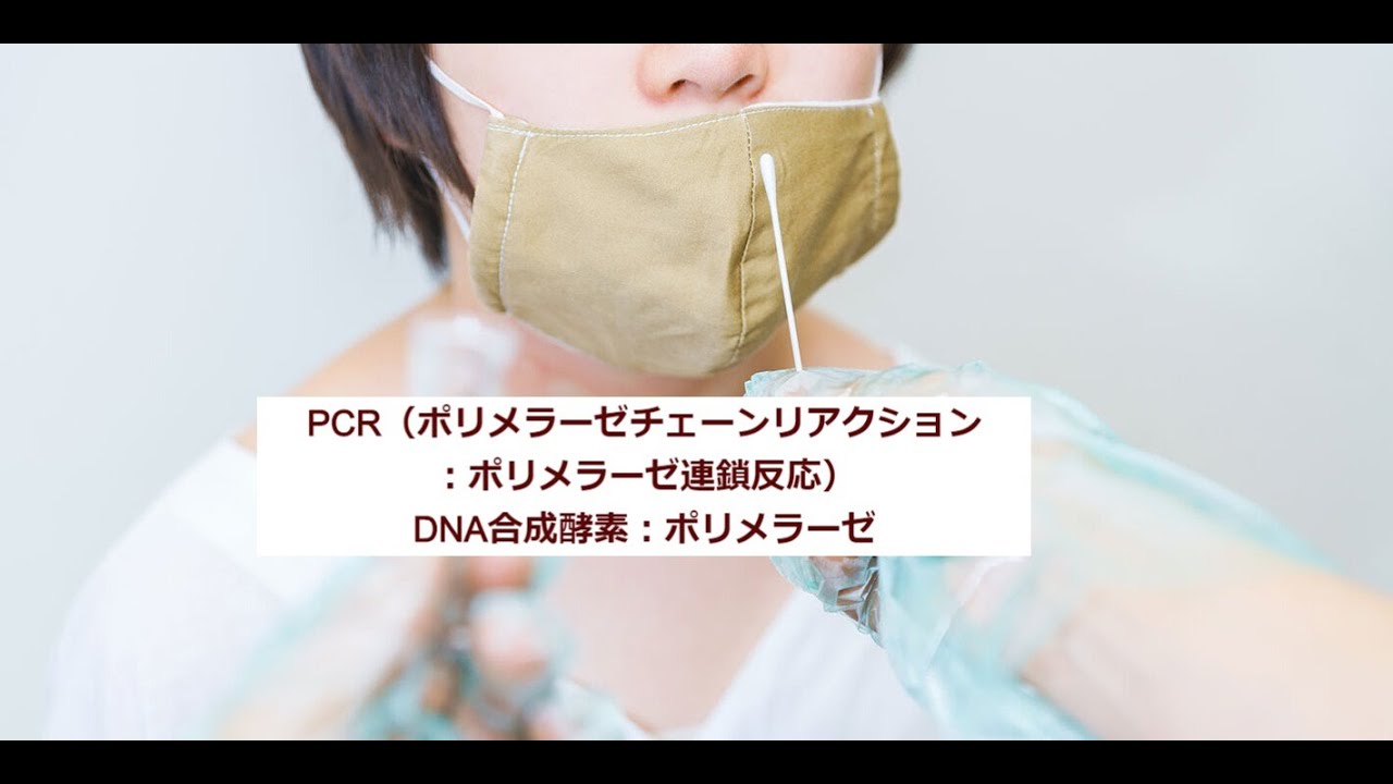 すべての動画