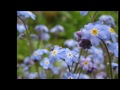 Alaskan Cruise 2013 [HD]