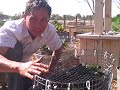 gardening