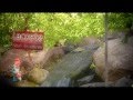 How to Plant Vegetables in a Container How to Plant Vegetables in a Container