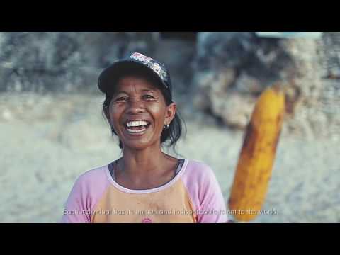 Actveda, how we see the world