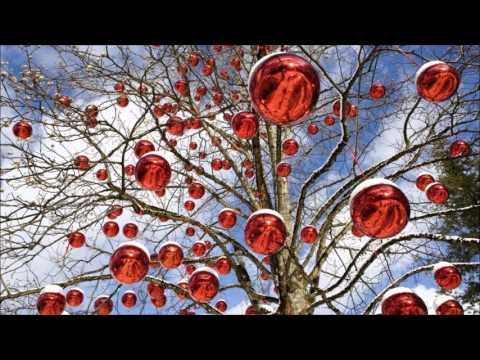 The First Noel/when The Meadow Was Bloomin' Video