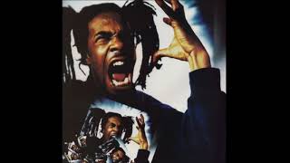 Watch Busta Rhymes What The Fuck You Want video