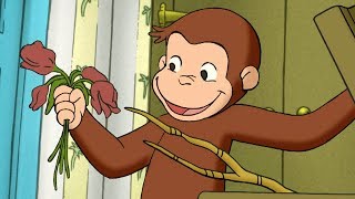 Curious George 🐵Much Ado About Nothing 🐵Full Episode🐵 Cartoons For Kids 🐵 Kids Movies