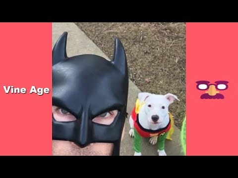 Funny BatDad Vines Compilation (w/Titles) All Vine of BatDad - Vine Age✔