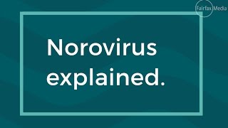 How to avoid Norovirus