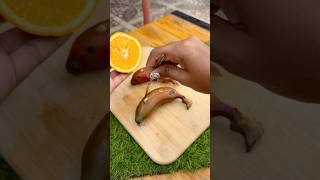 Bone Marrow S త Holes చస Malta Seeds Eshna