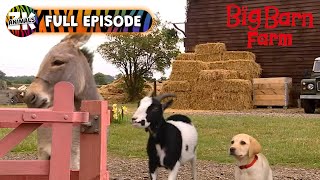 Big Barn Farm Season 2, Episode 13 Quiz Wizard
