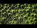 Superimposer Video preview