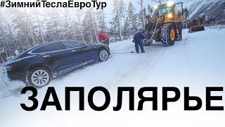 Олени,НордКап и Трактор/Тесла за Полярным Кругом