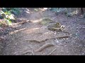 熊野神社から十二所果樹園まで