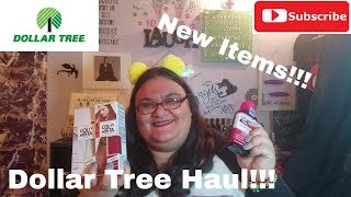 Dollar Tree Haul May 3 2019 - New And Interesting Items!! - Mucinex And L'Oreal Colorista!!!