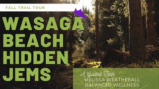 October Run in Wasaga Beach 2019