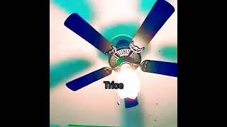 Your Favorite Wolfram Ceiling Fans Part 2