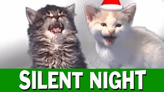 Watch Cats Silent Night video