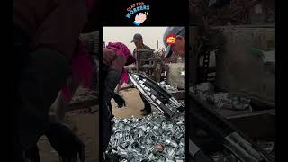 Respect Videos 2023 Must Watch New Shorts Videos
