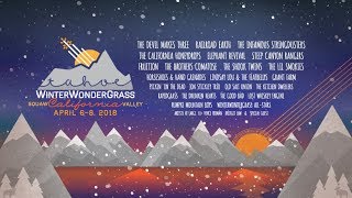 WinterWonderGrass 2018 - Line Up Announcement